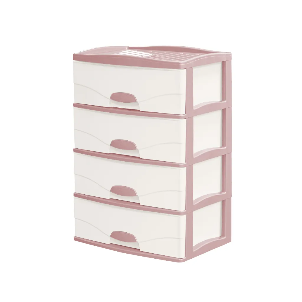RAYMI4-ROSA.webp