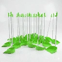 24-UNIDADES-VRDE.webp