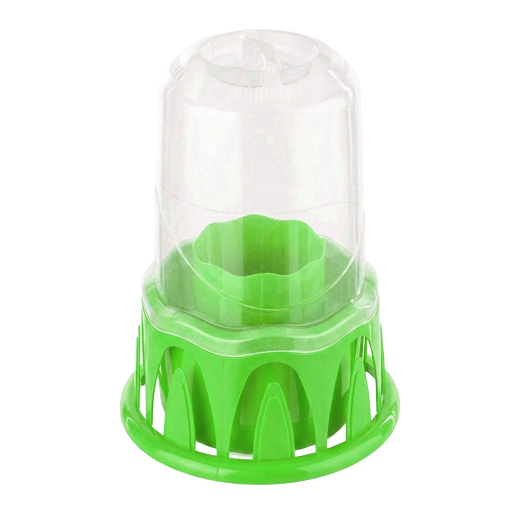 PREMIUM-VERDE.webp